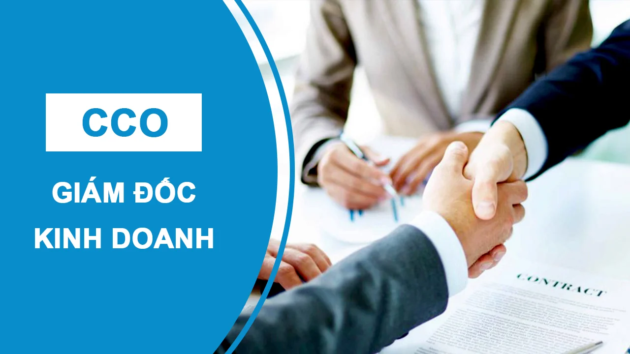 Giám đốc kinh doanh - CCO 2 giamdockinhdoanh 1