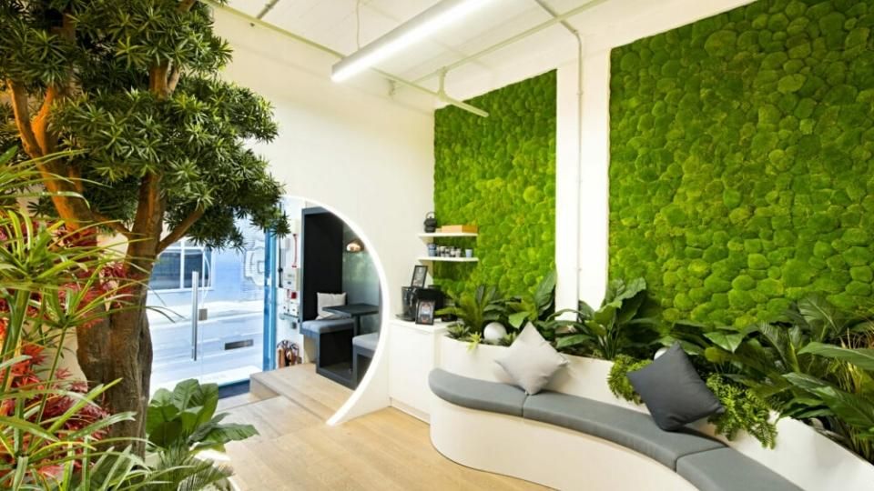 Thiết kế văn phòng xanh thoải mái, hòa mình với thiên nhiên